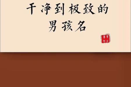 如何给属狗酉时出生的男孩起名，宜用哪些字姓名