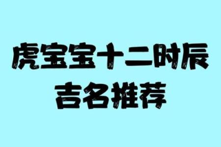 凌晨3点出生的属虎男孩起什么名，用什么字姓名