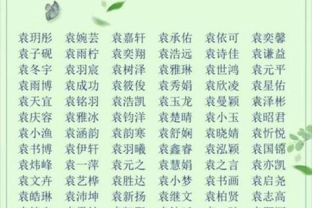 2019年6月3号子时出生的男孩应该起什么样的名字姓名