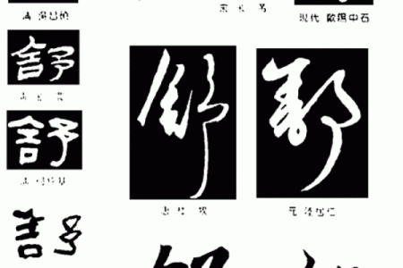 舒姓男孩名字大全-舒姓男孩起名字大全-舒姓名字大全姓名