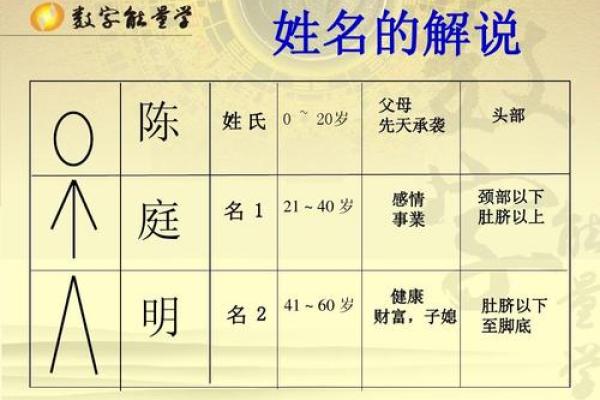 姓熊的名人-姓名学-华易算命网姓名