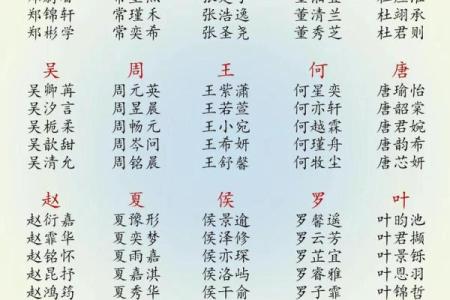 2019年3月17号酉时出生的男孩应该起什么样的名字姓名