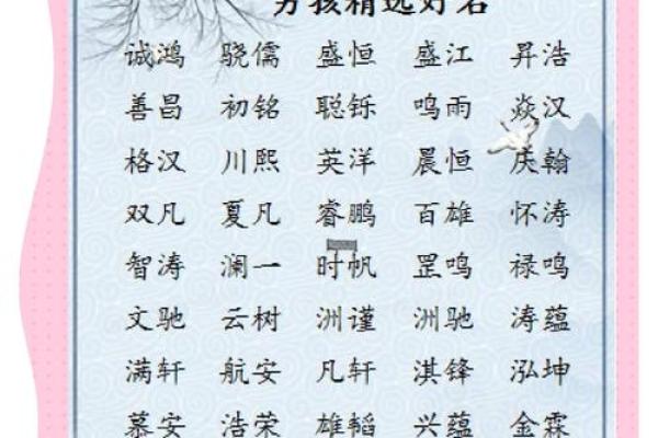 洋气的男孩名字-名字大全-姓名学-华易算命网姓名 洋气的男孩名字-名字大全-姓名学-华易算命网姓名