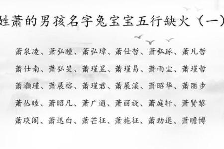 2019年5月19号子时出生的男孩起名方法姓名
