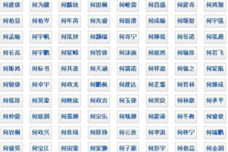 洋气的男孩名字-名字大全-姓名学-华易算命网姓名