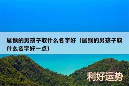 8月份出生的属猴男孩名字取什么好姓名