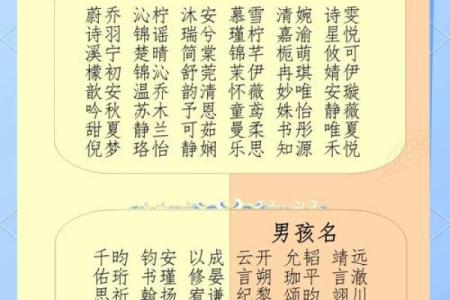 费姓男孩名字大全-费姓男孩起名字大全-费姓名字大全姓名