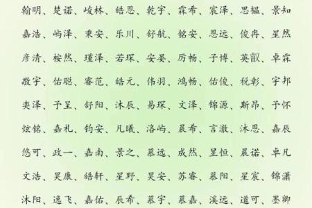 2019年5月13号丑时出生的男孩如何起名姓名