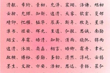 2019年6月23号丑时出生的男孩如何起名姓名