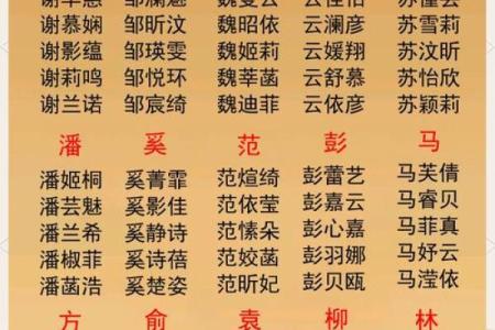 晚上出生的属虎男孩应该如何起名,宜用什么字姓名