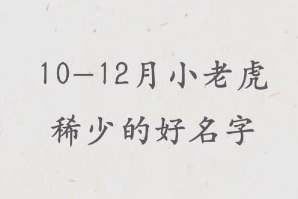 12月份出生的属虎男孩如何取名字姓名 12月份出生的属虎男孩如何取名字姓名