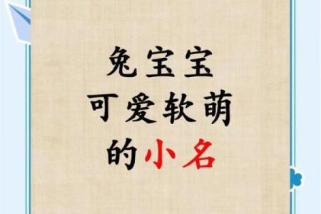 早上8点出生的属兔男孩如何取名姓名