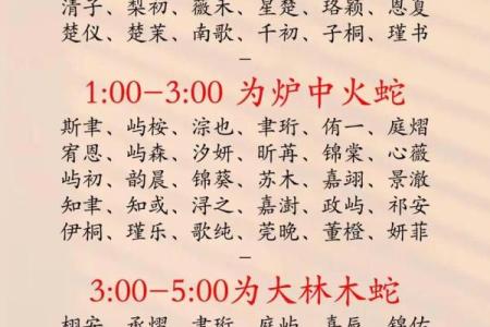 2019年3月25号辛时出生的男孩起名方法姓名