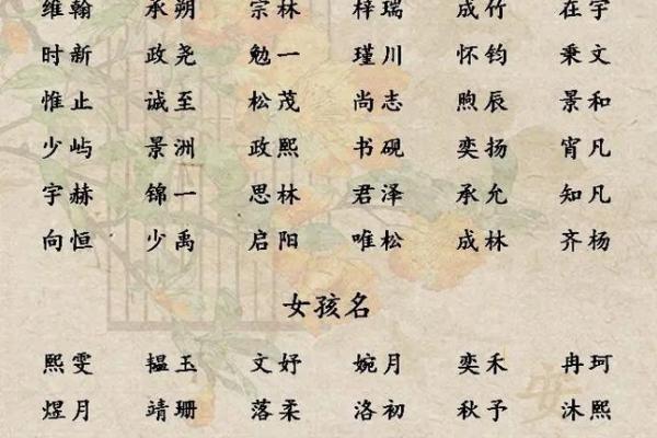 2019年5月28号丑时出生的男孩应该起什么样的名字姓名 2019年5月28号丑时出生的男孩应该起什么样的名字姓名