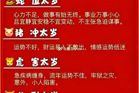 怎样来给属猪亥时出生的男孩起名姓名