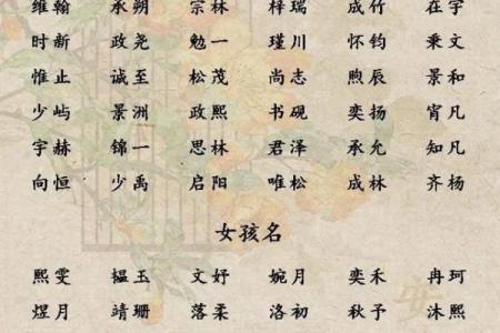 2019年5月28号丑时出生的男孩应该起什么样的名字姓名