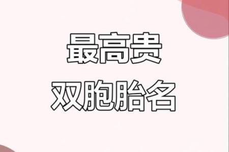给双胞胎兄弟和姐妹取名字的方法有哪些-姓名学-华易网姓名