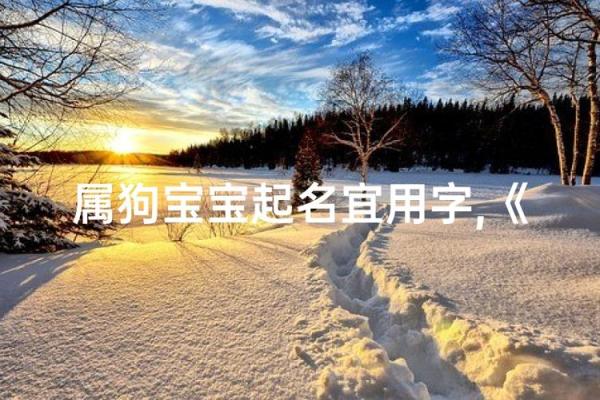 晚上7点出生的属狗男孩怎么取名,用什么字好姓名 晚上7点出生的属狗男孩怎么取名,用什么字好姓名