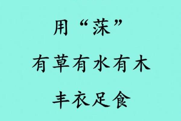 兔宝宝起名用字的禁忌-姓名学-姓名分析姓名 兔宝宝起名用字的禁忌-姓名学-姓名分析姓名