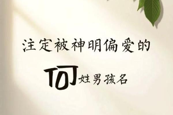 何姓男孩名字大全-何姓男孩起名字大全-何姓名字大全姓名 何姓男孩名字大全-何姓男孩起名字大全-何姓名字大全姓名