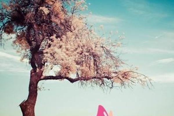 快递公司名字大全-名字大全-姓名学-华易算命网姓名 快递公司名字大全-名字大全-姓名学-华易算命网姓名