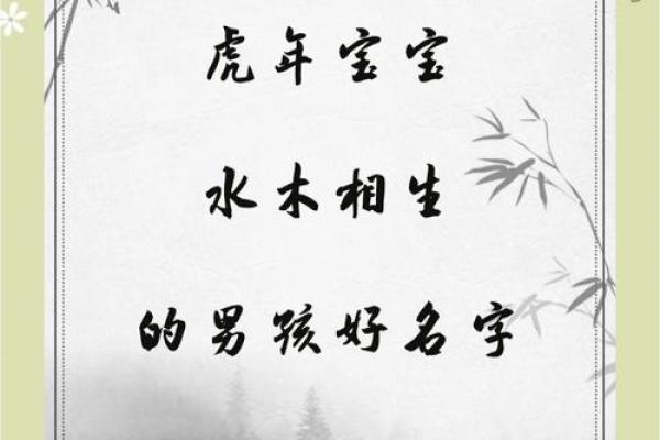 2019年6月10号丑时出生的男孩应该起什么样的名字姓名