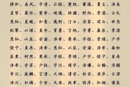 2019年5月16号子时出生的男孩应该起什么样的名字姓名