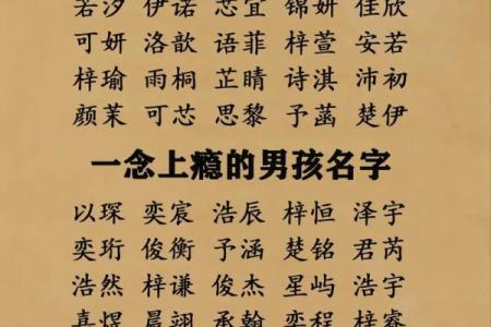 诸姓男孩名字大全-诸姓男孩起名字大全-诸姓名字大全姓名