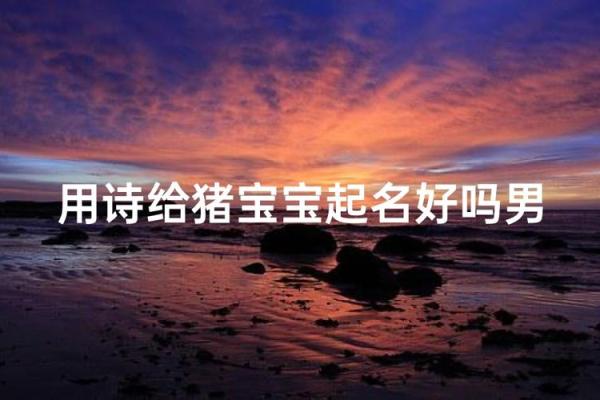 5月份出生的属猪男孩该怎么起名姓名 5月份出生的属猪男孩该怎么起名姓名