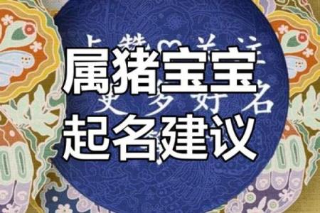 5月份出生的属猪男孩该怎么起名姓名