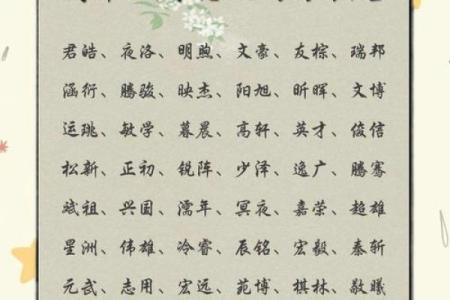 2019年6月16号丑时出生的男孩要怎么起名字姓名