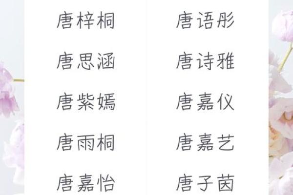 唐姓男孩名字大全-唐姓男孩起名字大全-唐姓名字大全姓名