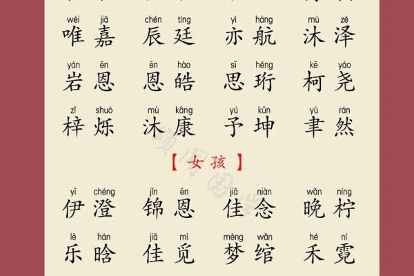 属猪辰时出生的男孩如何取名字，宜用什么字姓名