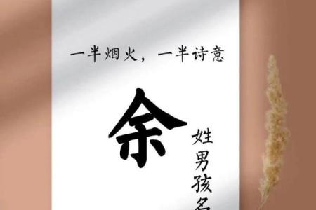 余姓女孩名字大全-余姓女孩起名字大全-余姓名字大全姓名