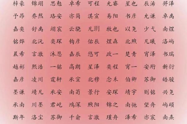 属狗未时出生的男孩应该如何起名，宜用哪些字姓名