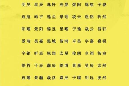 如何给凌晨5点出生的属鸡男孩取名字最合适姓名