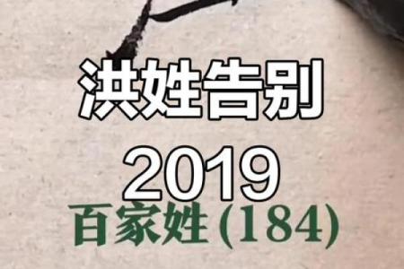 洪姓女孩名字大全-洪姓女孩起名字大全-洪姓名字大全姓名