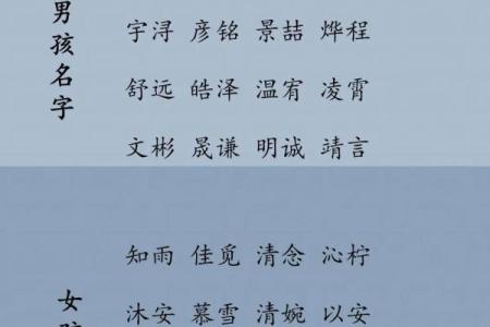 教你给属鸡酉时出生的男孩起名的实用技巧姓名
