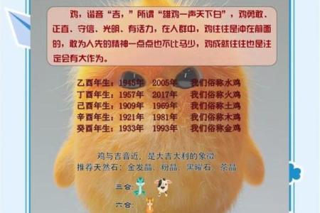 上午11点出生的属鸡男孩适合怎么样取名字姓名