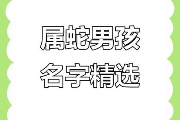 属蛇寅时出生的男孩取什么名字，应该用什么字姓名