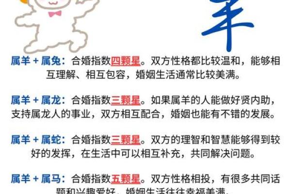 晚上八点出生的属羊男孩如何起名，应用什么字姓名