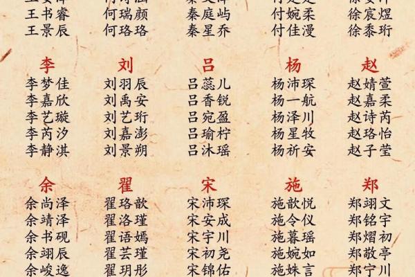 晚上11点出生的属蛇男孩如何起名，宜用哪些字姓名