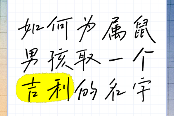 怎么样给晚上10点出生的属鼠男孩起名姓名