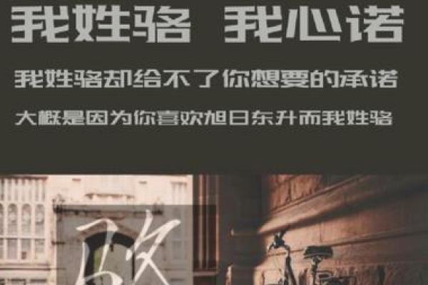 骆姓女孩名字大全-骆姓女孩起名字大全-骆姓名字大全姓名