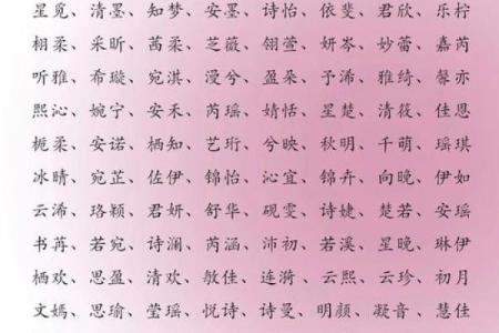 2019年大雪节气出生带雪字取名女孩名字，关于雪的唯美名字姓名