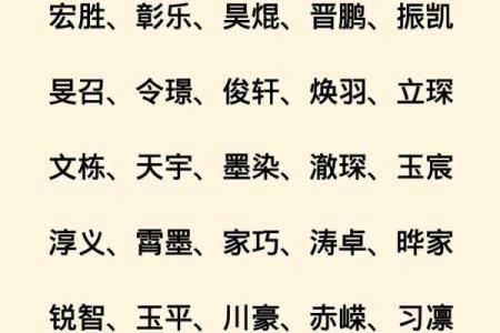 2019年6月24号卯时出生的男孩如何起名姓名