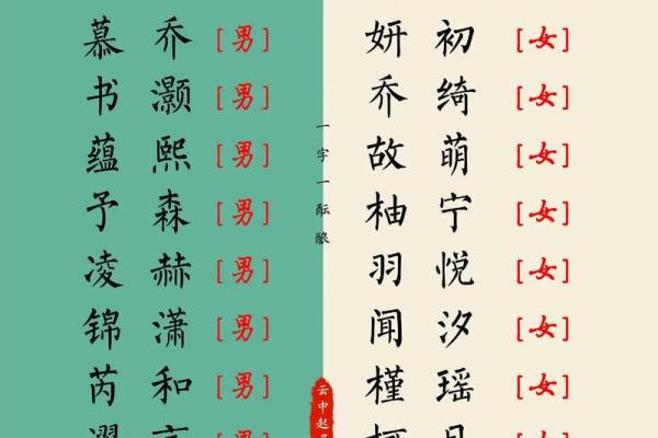 8月份出生的属兔男孩要怎样取名姓名