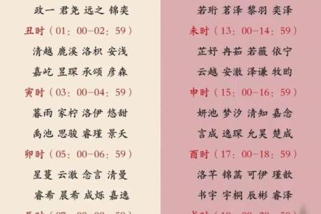 时姓男孩名字大全-时姓男孩起名字大全-时姓名字大全姓名