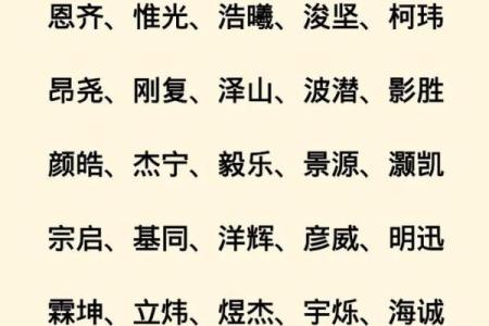 2019年4月18号子时出生的男孩如何起名姓名