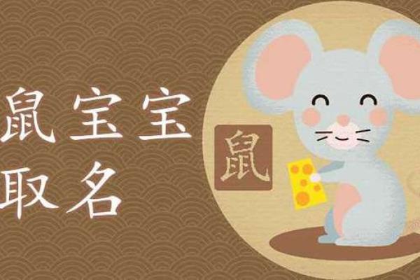 什么字适合给晚上11点出生的属鼠男孩起名姓名